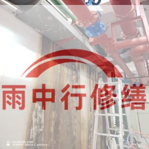 普陀某商业综合体地下室堵漏加固