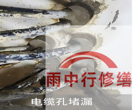 普陀电缆线空洞堵漏加固案例